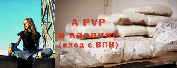 мдпв Осташков