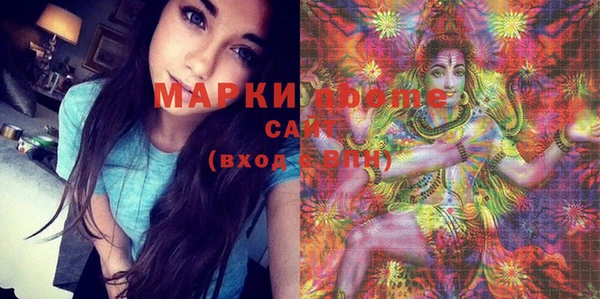 мдпв Осташков